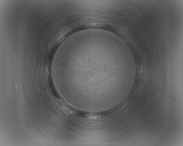 X0000082160746200701191241