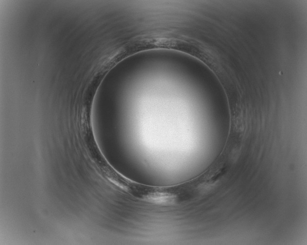 X0000082160748200701191241