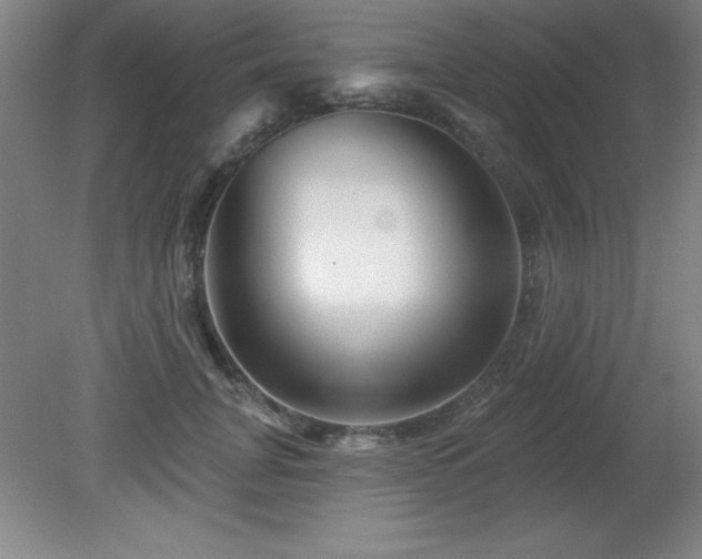 X0000082160751200701191241