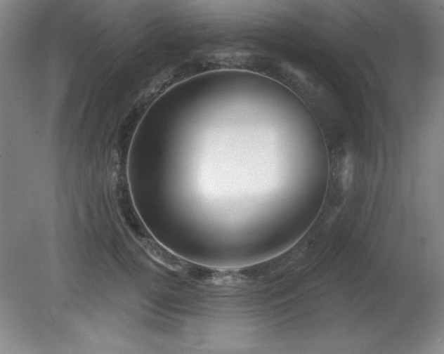 X0000082160752200701191241