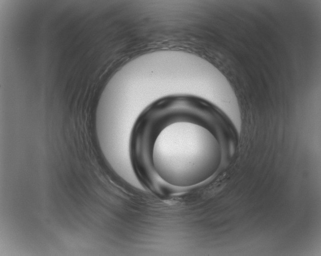 X0000082160756200701191241