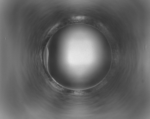 X0000082160758200701191241