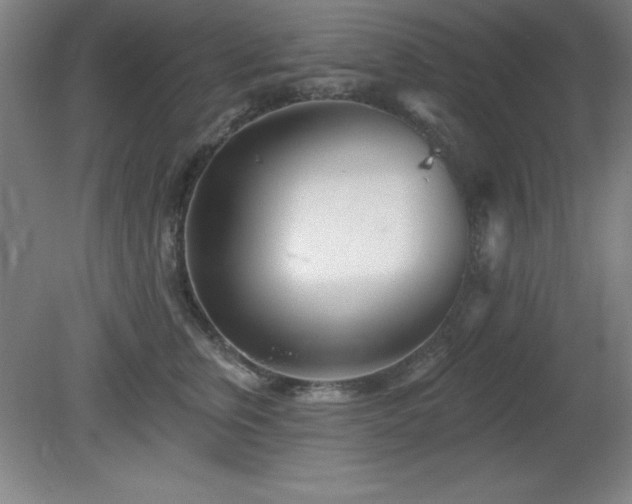 X0000082160759200701191241