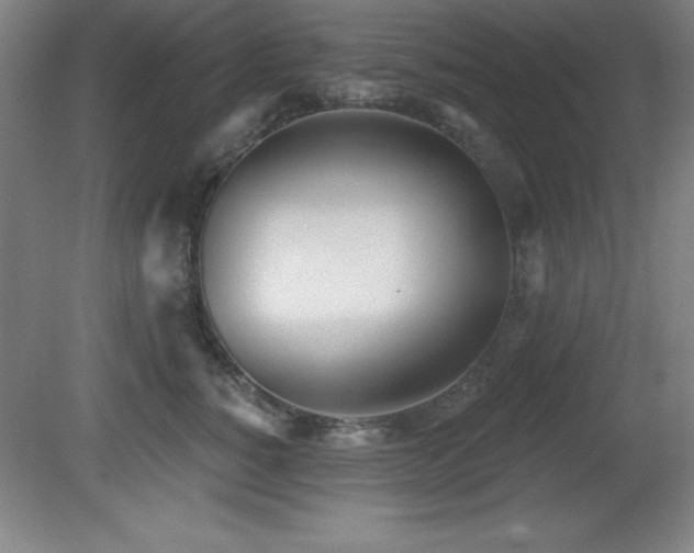 X0000082160760200701191241