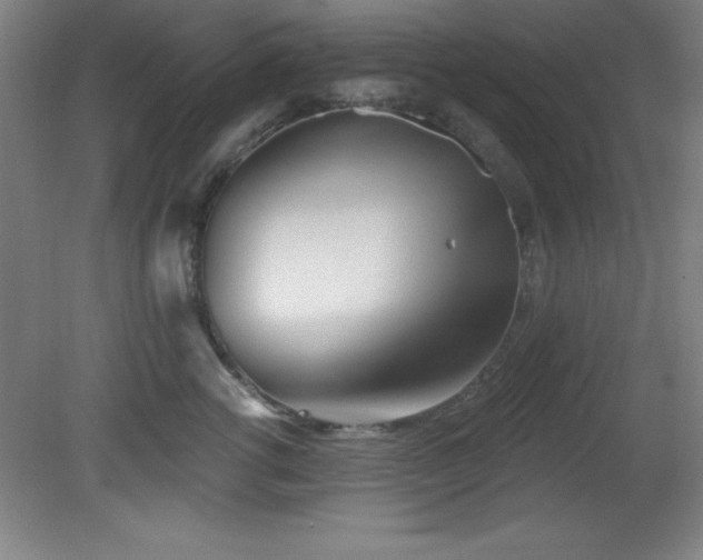 X0000082160762200701191241