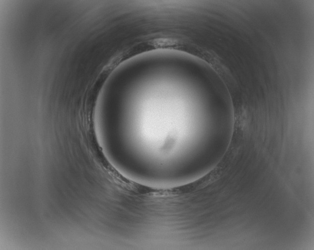 X0000082160763200701191241