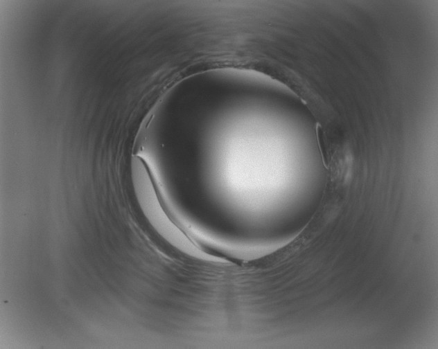 X0000082160764200701191241