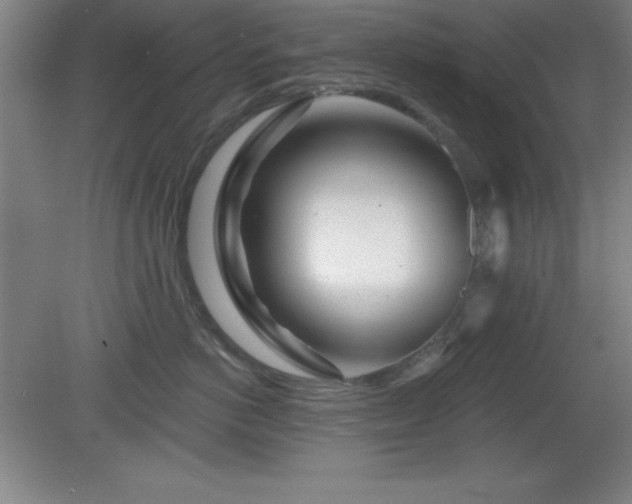 X0000082160766200701191241