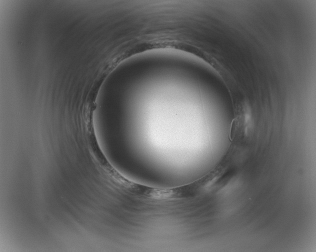 X0000082160767200701191241