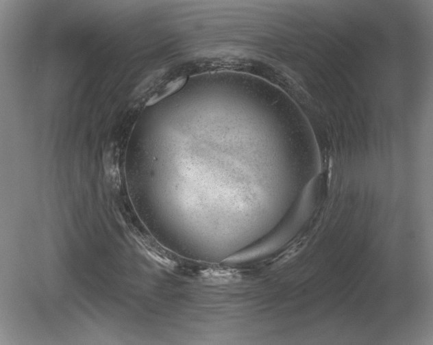 X0000082160771200701191241