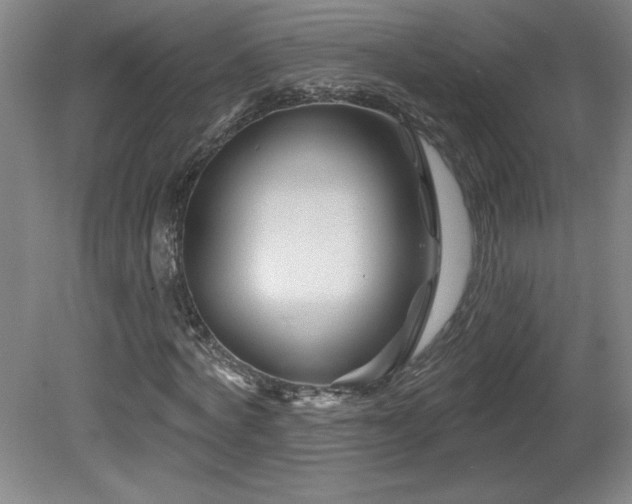 X0000082160772200701191240