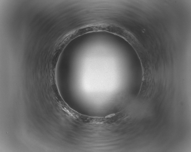 X0000082160773200701191240