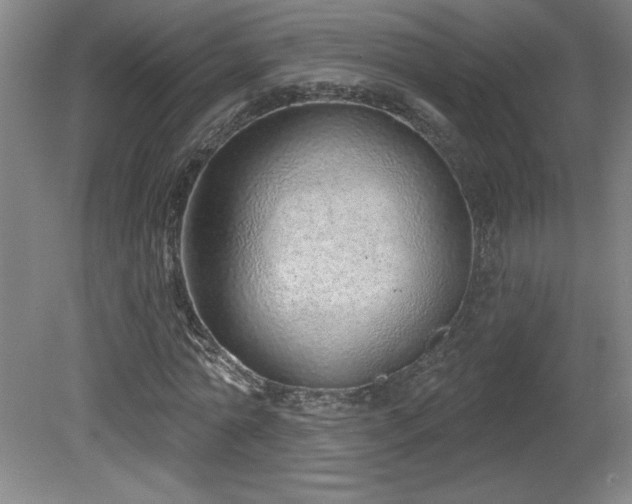 X0000082160774200701191240
