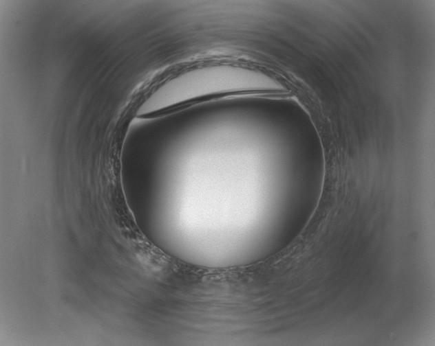 X0000082160776200701191240