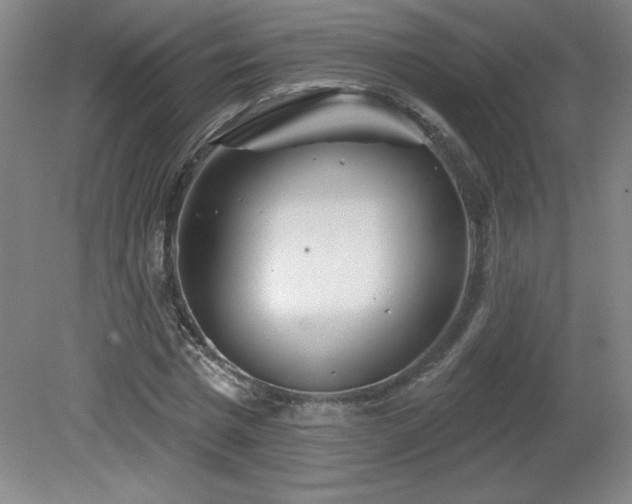 X0000082160777200701191240