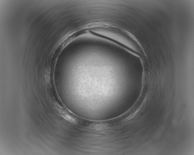 X0000082160778200701191240