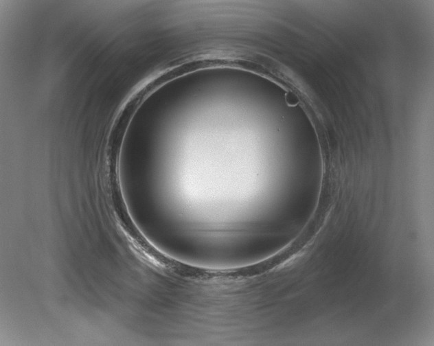 X0000082160779200701191240
