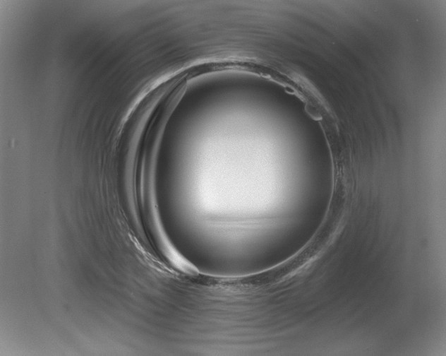X0000082160781200701191240