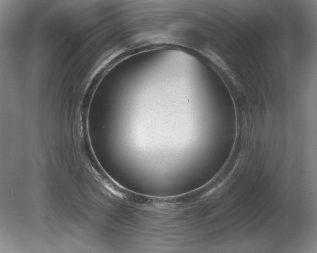 X0000082160782200701191240