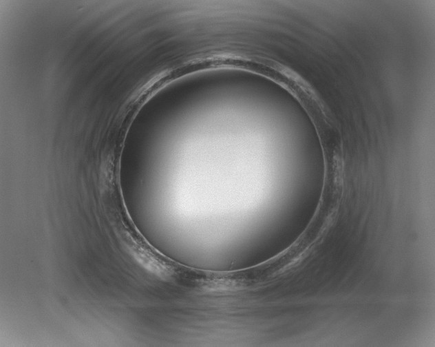 X0000082160785200701191240