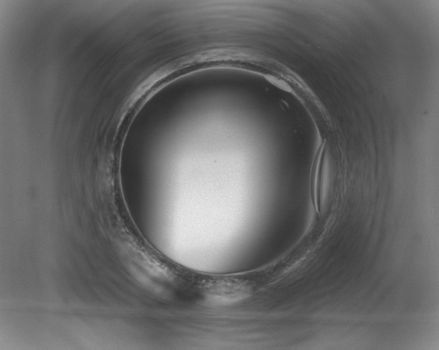 X0000082160786200701191240