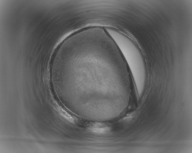 X0000082160787200701191240