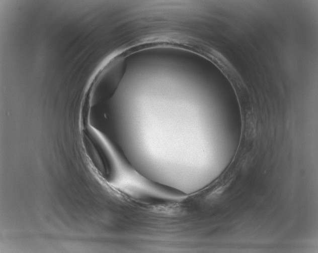 X0000082160788200701191240