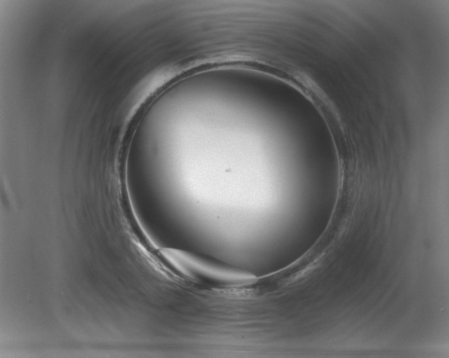 X0000082160789200701191240