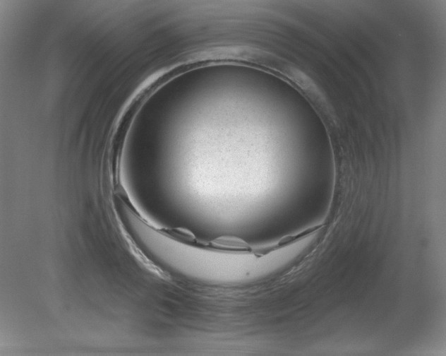 X0000082160792200701191240