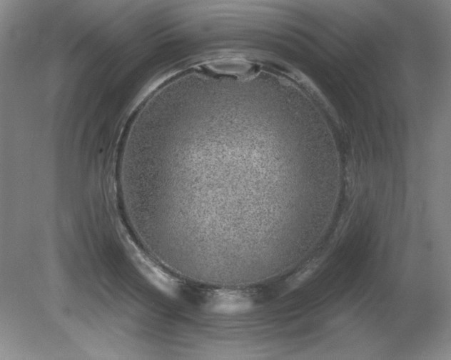 X0000082160794200701191240