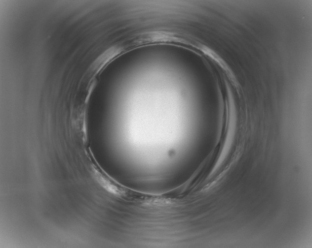 X0000082160801200701191240