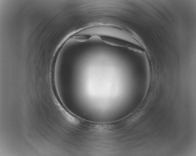 X0000082160803200701191240