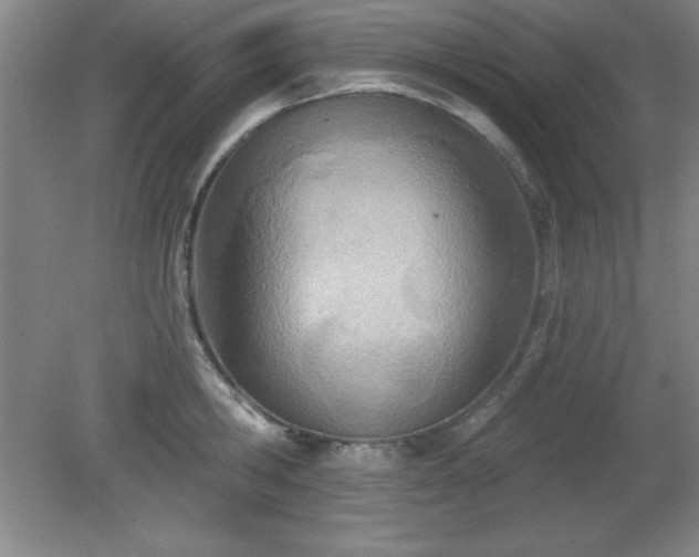 X0000082160806200701191240
