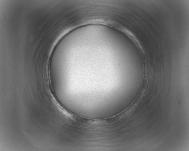 X0000082160808200701191240