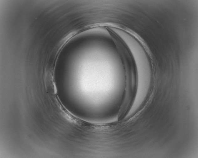 X0000082160809200701191240
