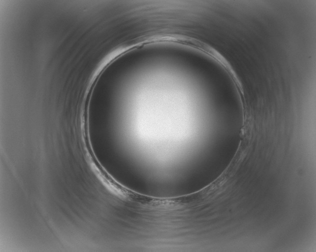 X0000082160811200701191240