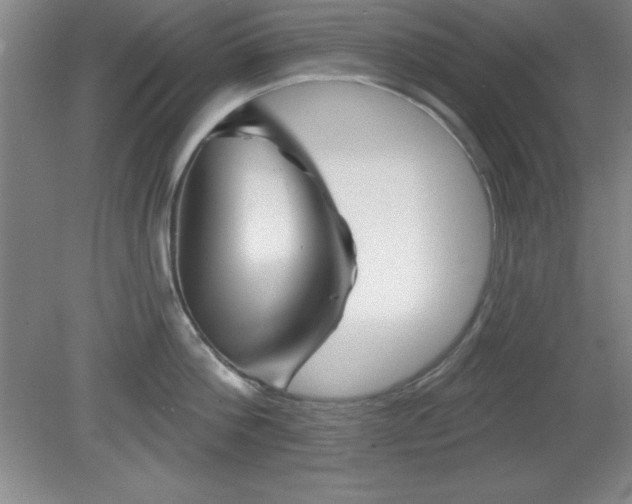 X0000082160812200701191240