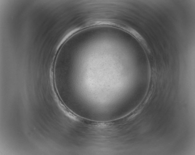 X0000082160814200701191240