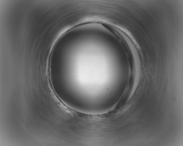 X0000082160815200701191240