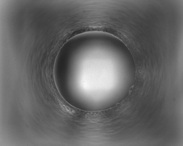 X0000082160817200701191239