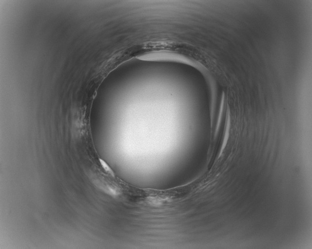 X0000082160818200701191239