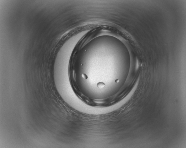 X0000082160822200701191239