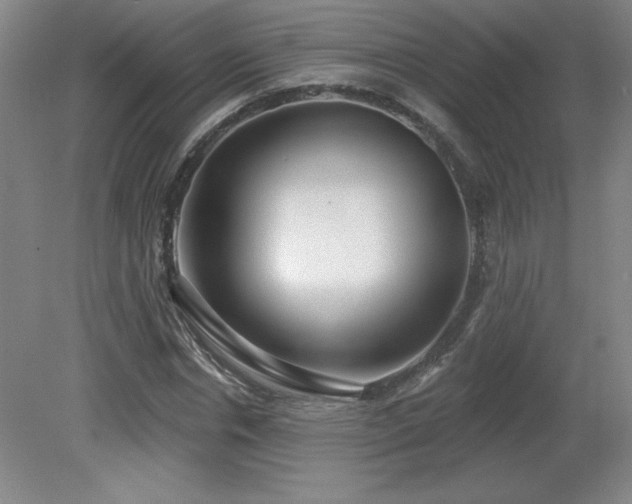 X0000082160826200701191239