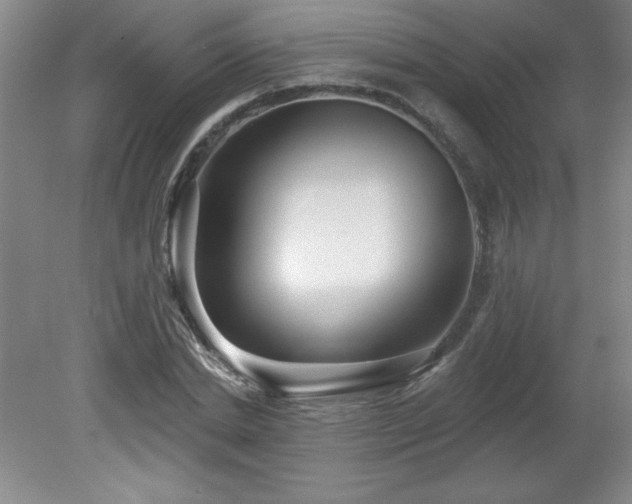 X0000082160830200701191239