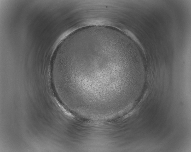 X0000082160831200701191239