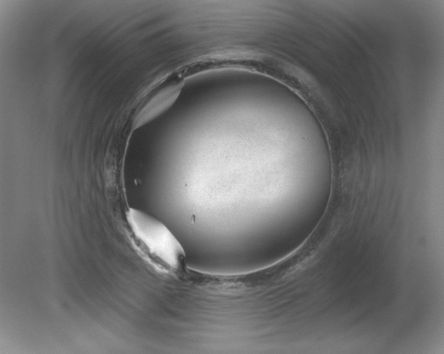 X0000082160833200701191239