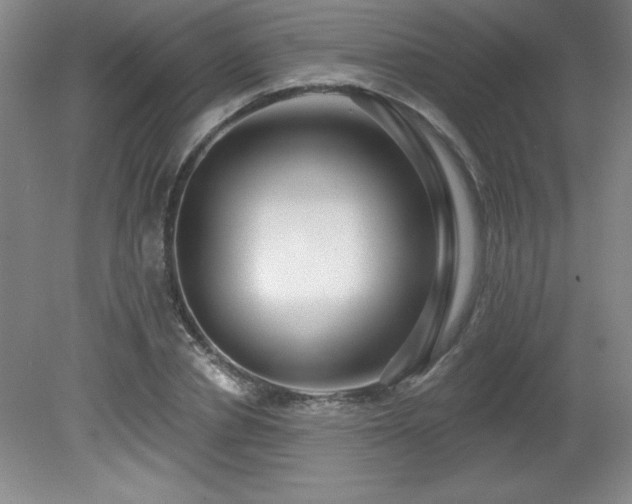 X0000082160834200701191239