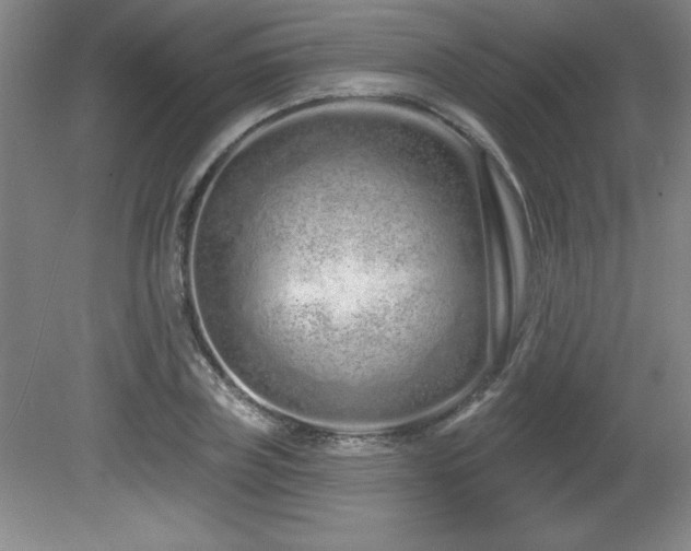 X0000082160835200701191239