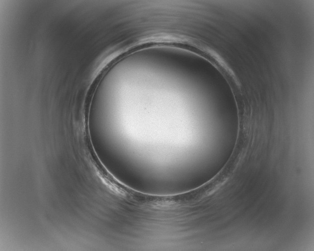 X0000082160837200701191239