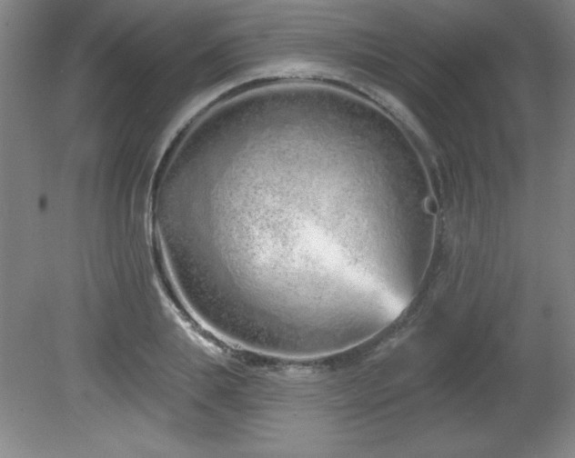 X0000082160839200701191239